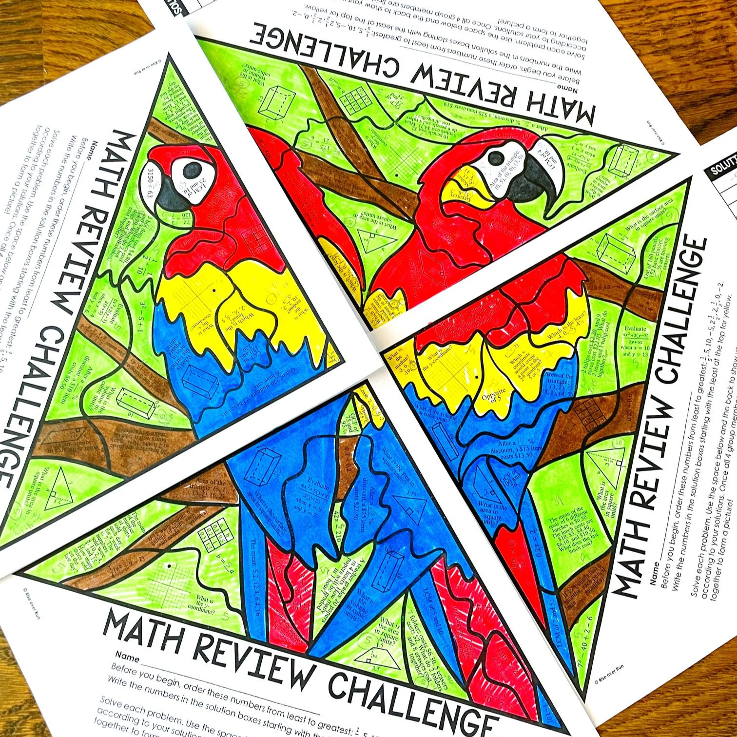 Math Review Coloring Activity by Rise over Run