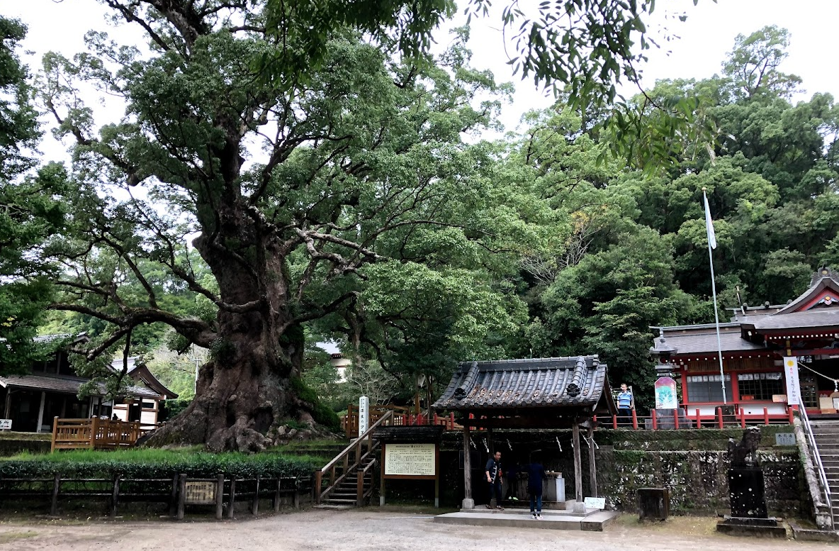 Screenshot 2026-02-08 at 12.59.36.png