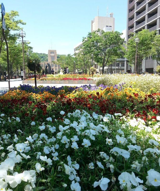 Screenshot 2026-02-08 at 13.11.51.png