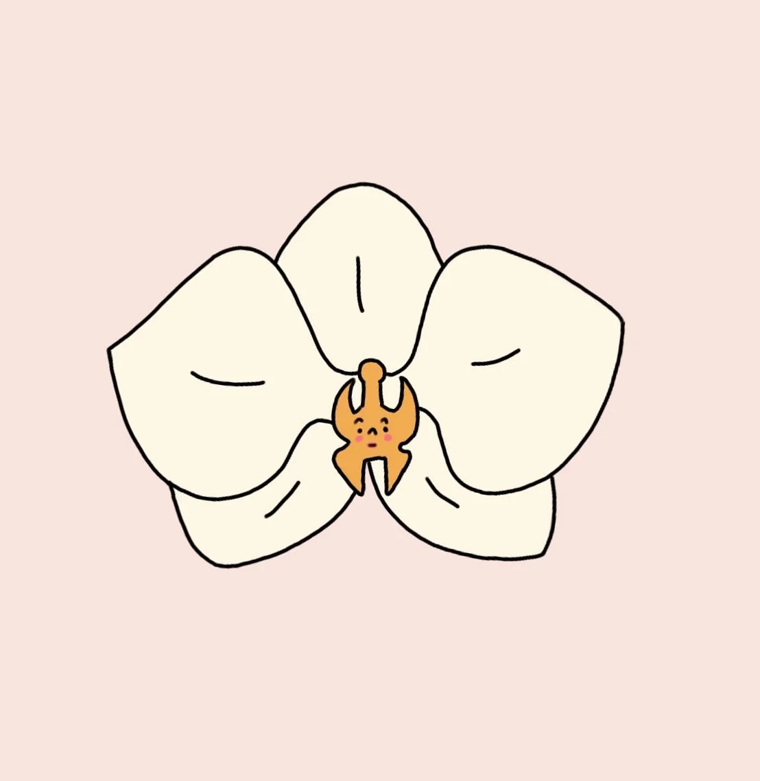 🤍orchid 

#flower #orchid #illustration #cute