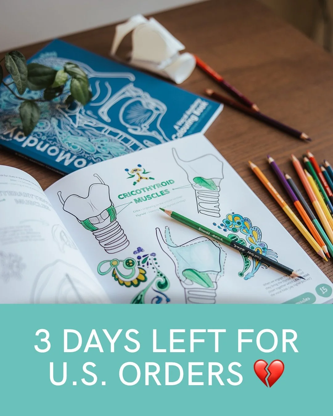 🔥 LAST CHANCE 🔥

Due to an upcoming change in U.S tariffs, I have to suspend shipping to the U.S so your last chance to order a copy of my book is NOW 😢

I am so incredibly grateful to everyone who has already bought a copy of my book in the state