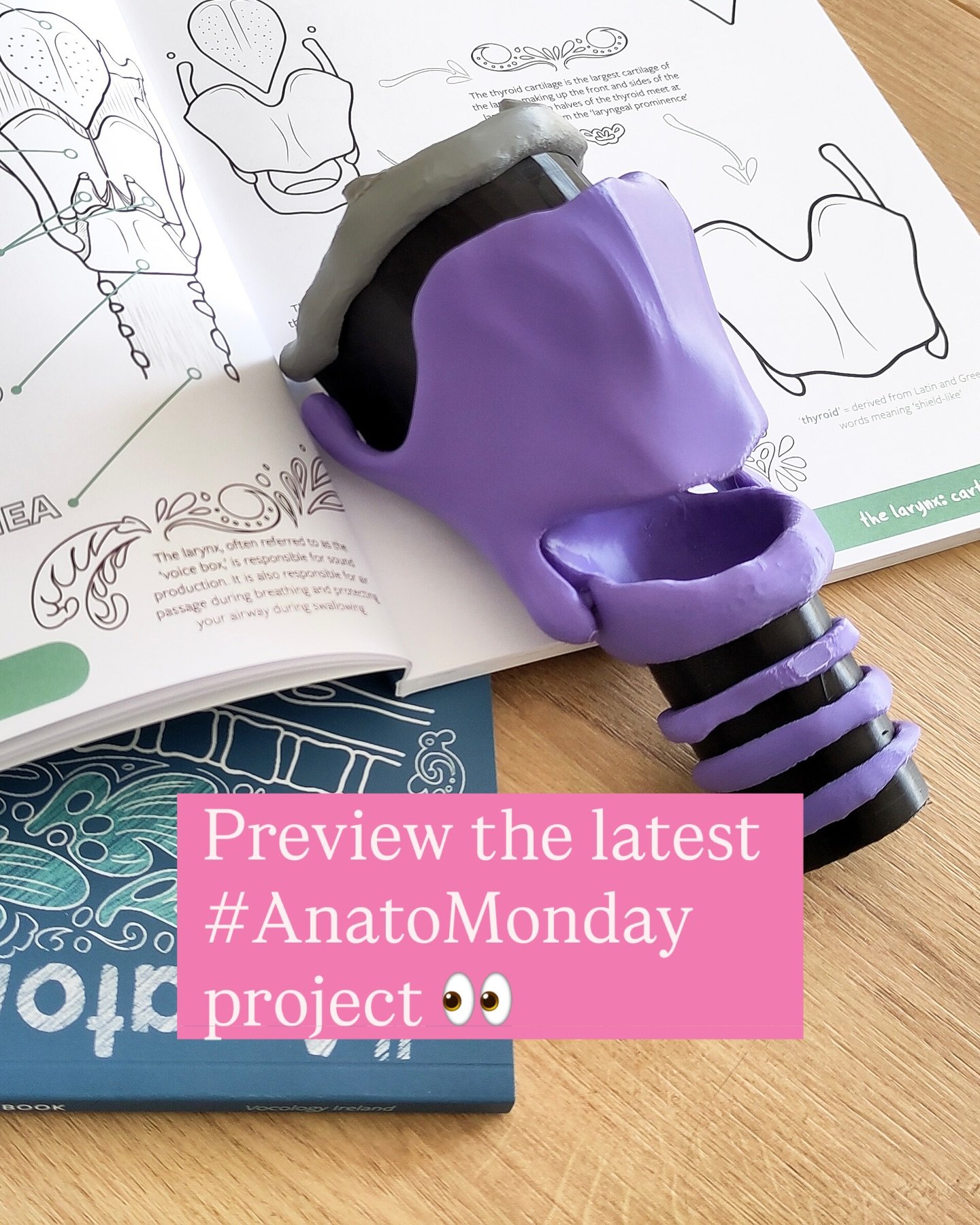 #AnatoMonday: something new is coming soon! 

If you already have a copy of my Vocal Anatomy Colouring Book, you will have seen additional design and illustration in there by the wonderful Rosa Devine @rosa_in_motion. Using her epic paper engineering
