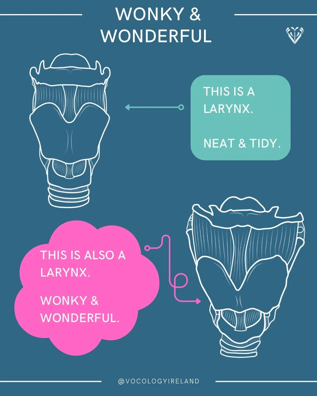 #AnatoMonday: humans are not meant to look like the neat pictures we see in textbooks. Humans are imperfect and wonky and unique. 

Pretty pictures can help us learn about anatomy and how it works - that&rsquo;s why I draw them! But loving our true w