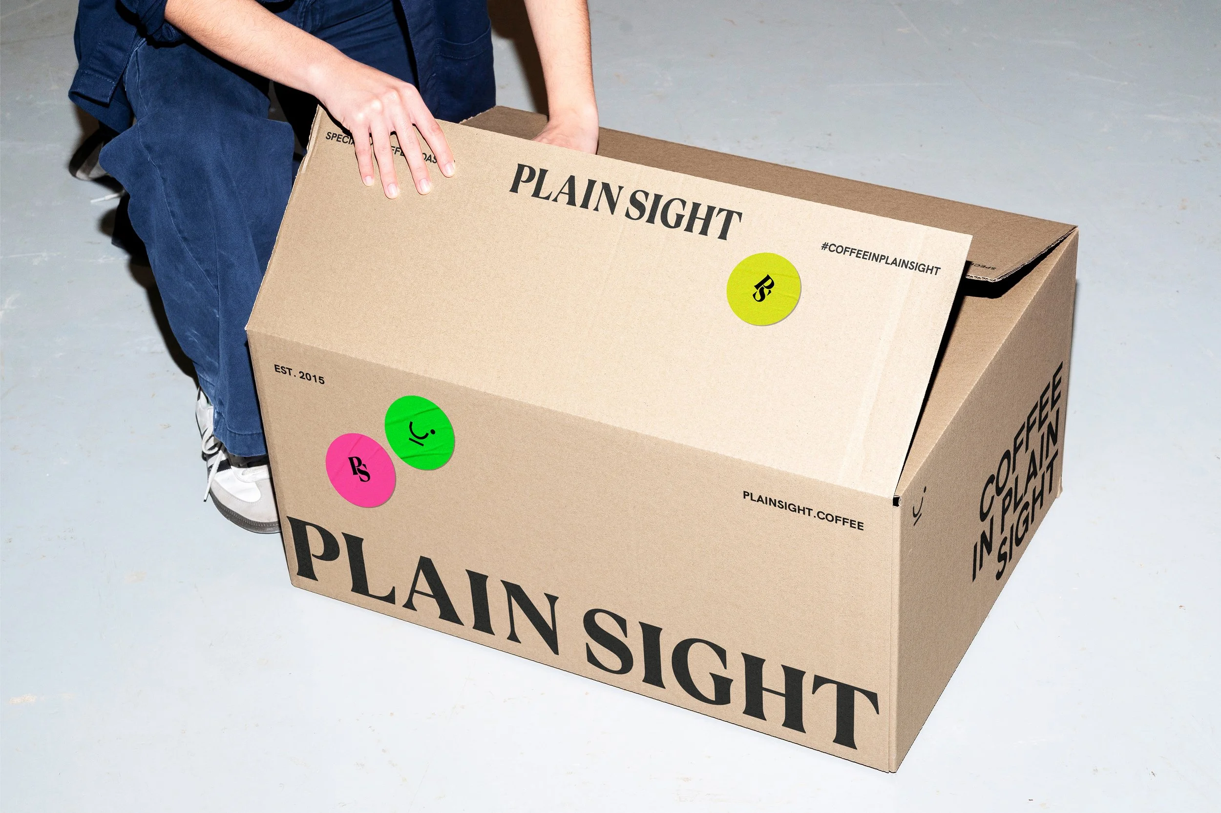Plain Sight Case Study-14.jpg