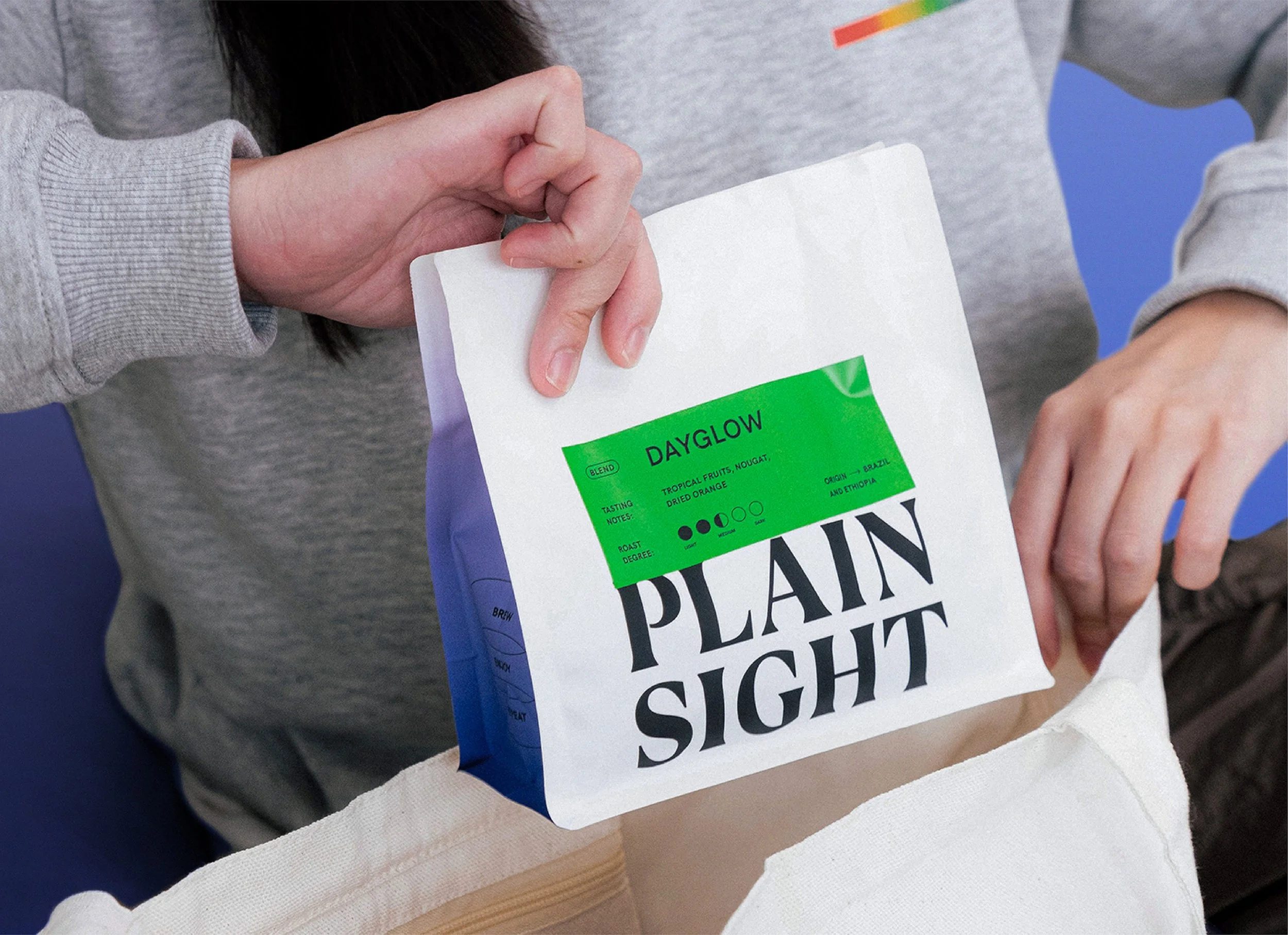 Plain Sight Case Study-01.jpg
