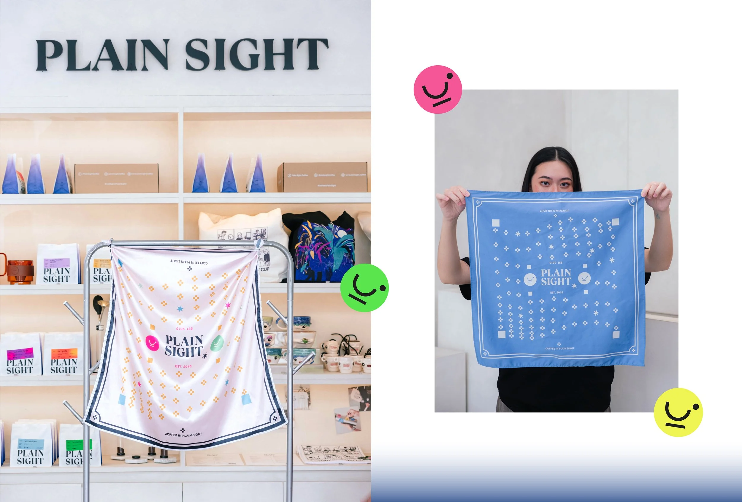 Plain Sight Case Study-29.jpg