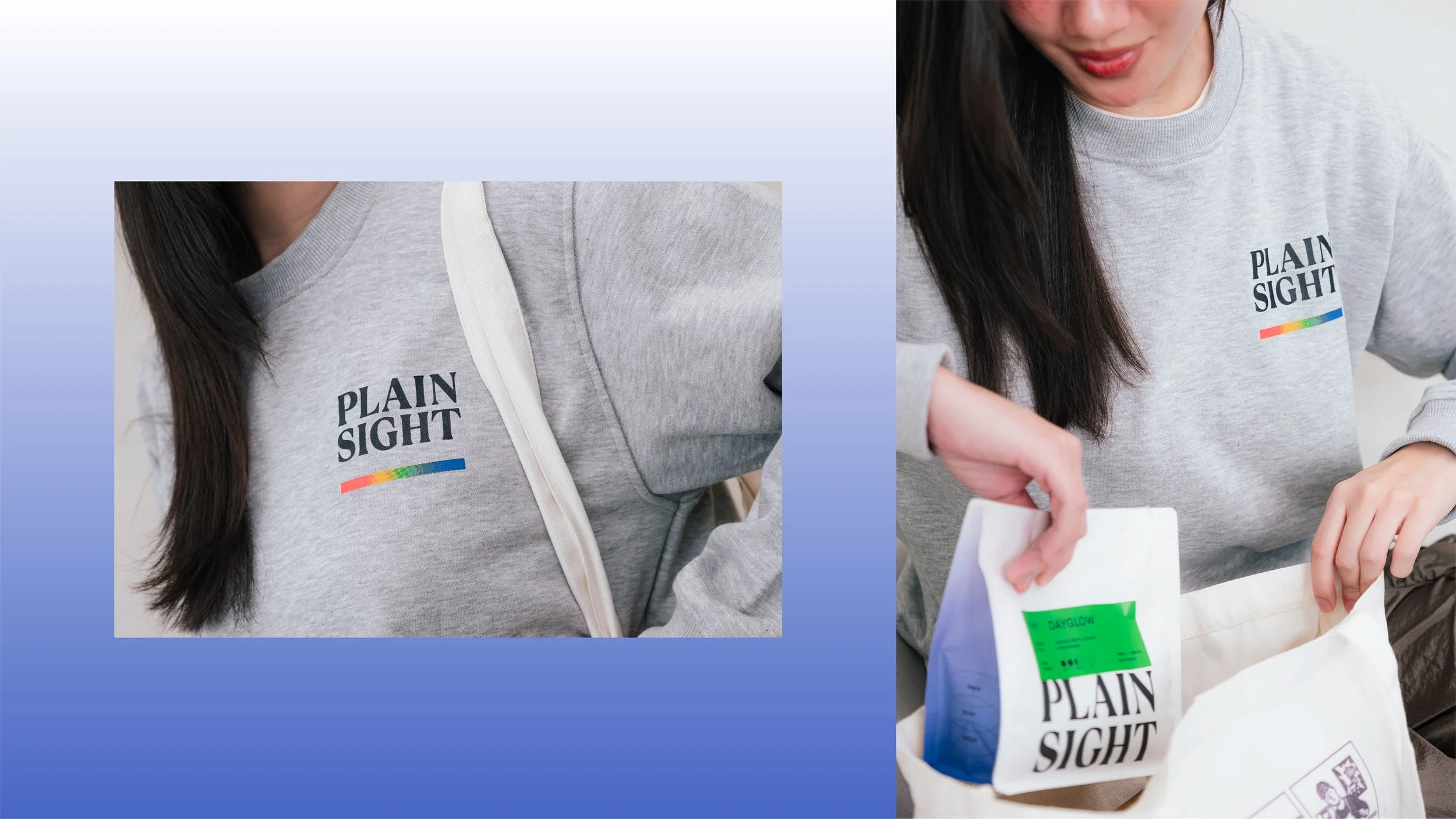 Plain Sight Case Study-27.jpg
