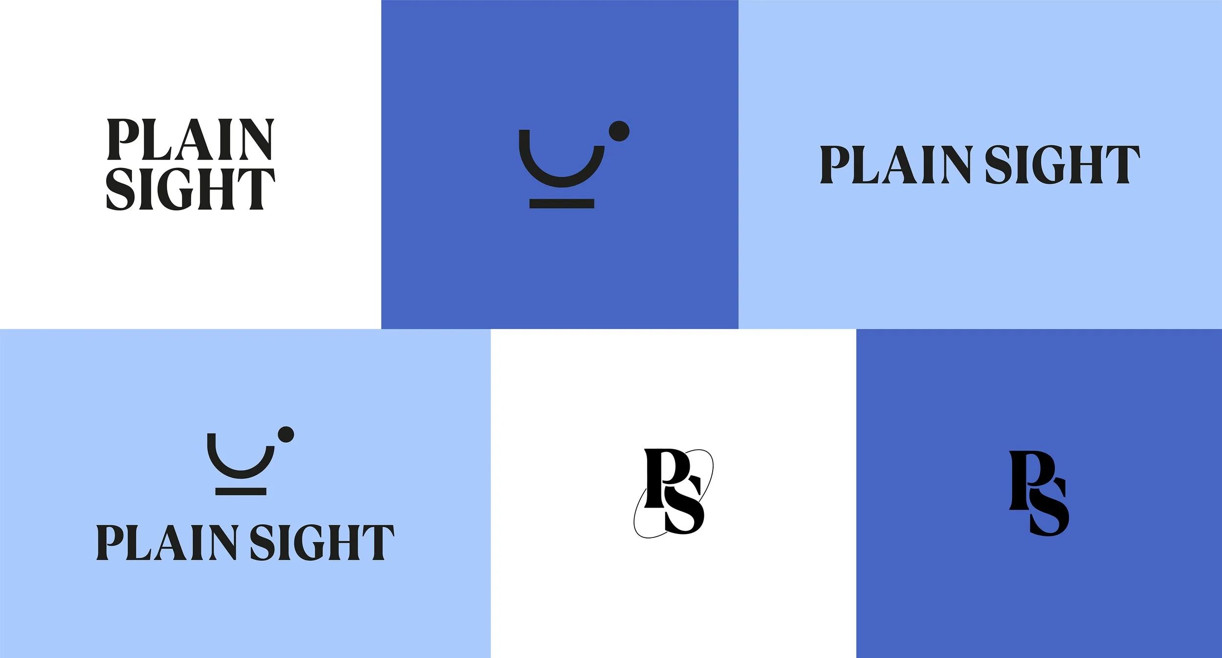 Plain Sight Case Study-07.jpg