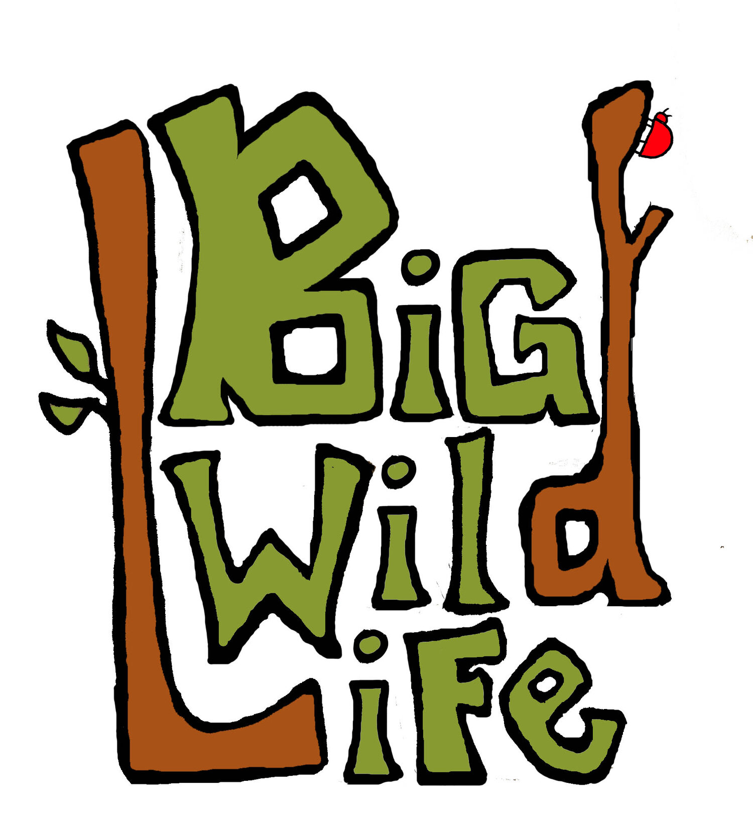 Big Wild Life