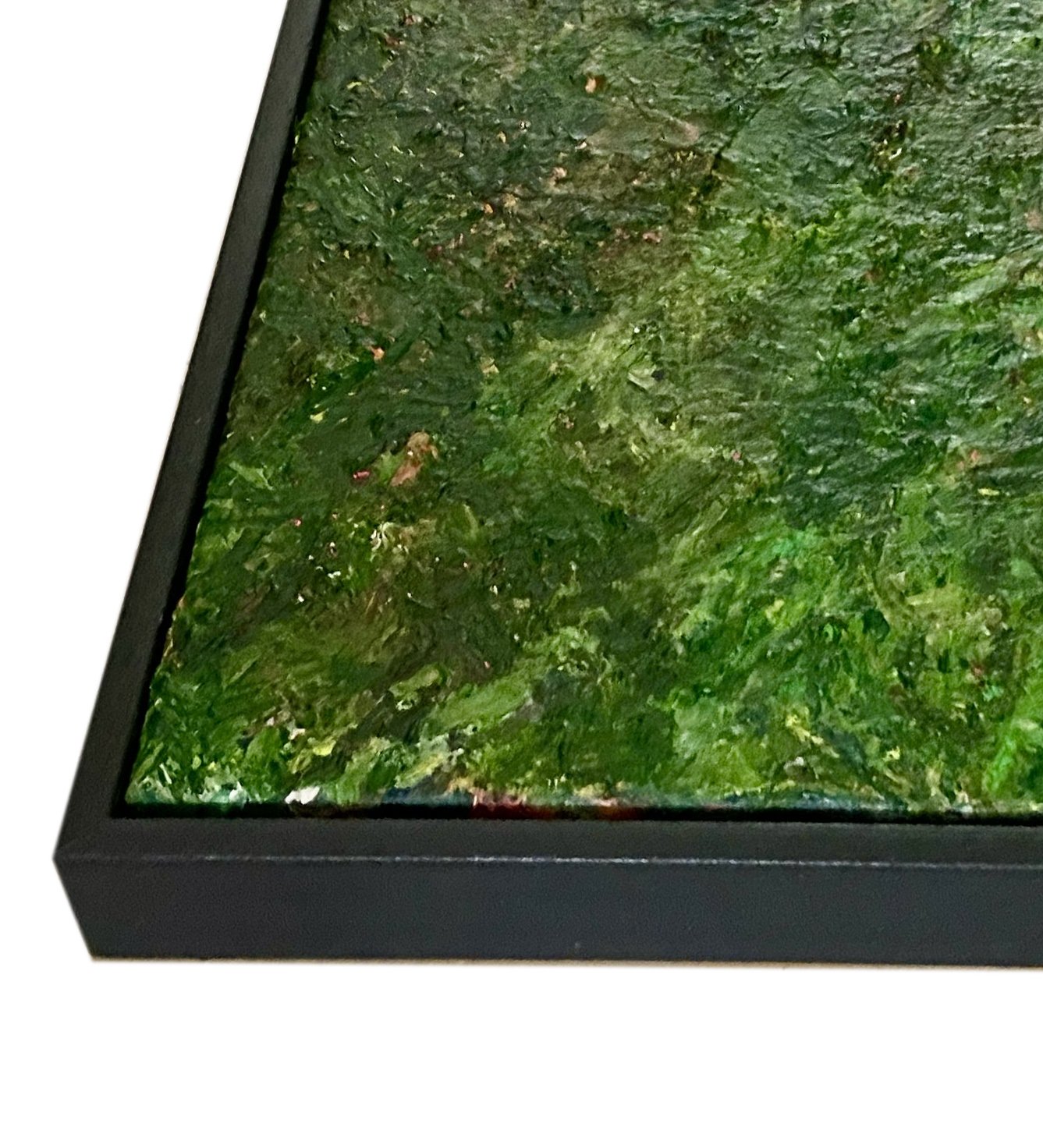 Close Up_shrubbery.jpg