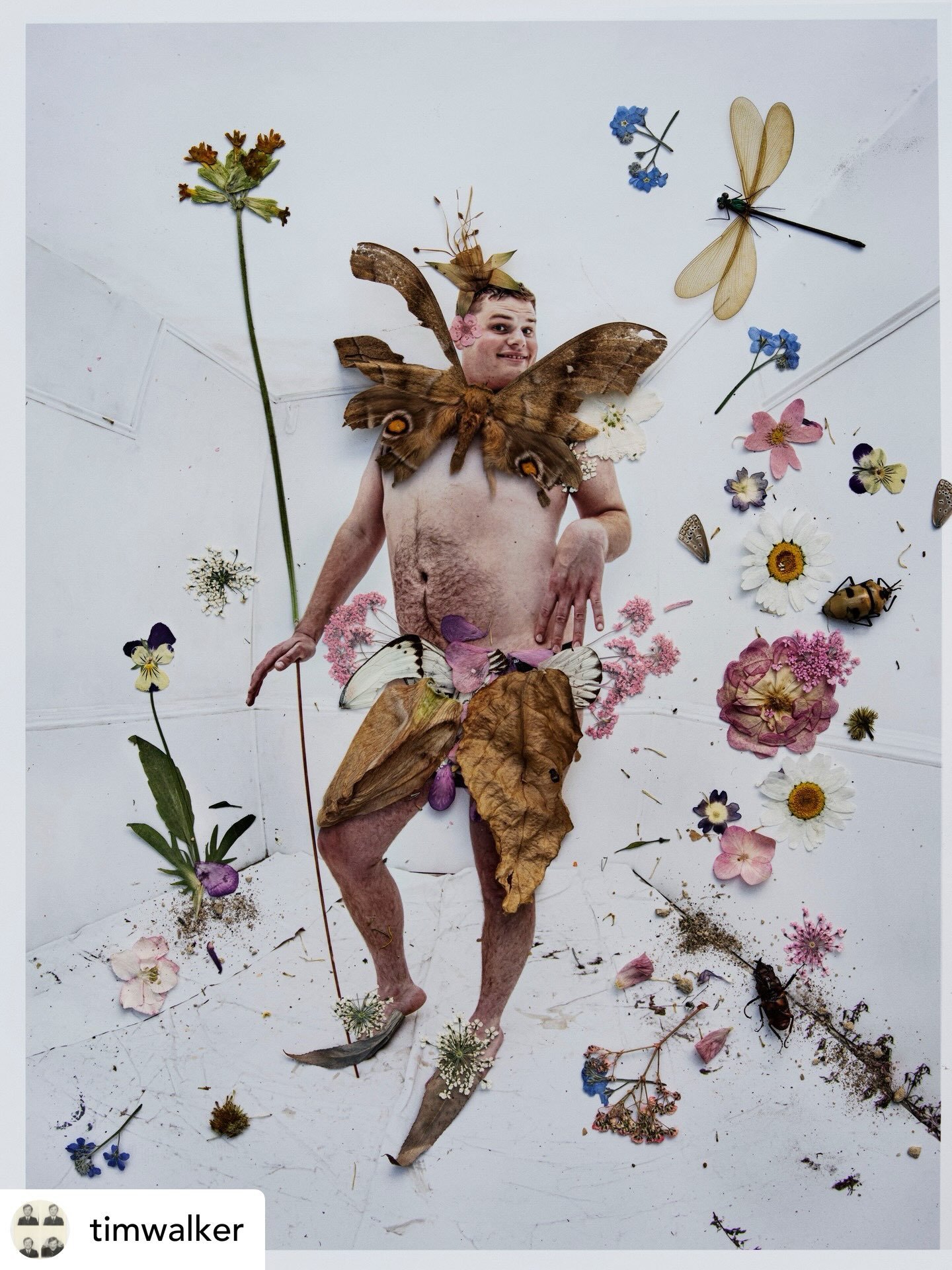 Our Joe popped up on instagram today&hellip;&hellip;&hellip;&hellip;&hellip;&hellip;&hellip;&hellip;&hellip;&hellip;&hellip;&hellip;&hellip;&hellip;&hellip; @reshare_app &bull; @timwalker The following summer I returned to making more queer fairies. 