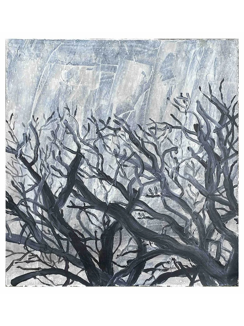 Winter Oak 2