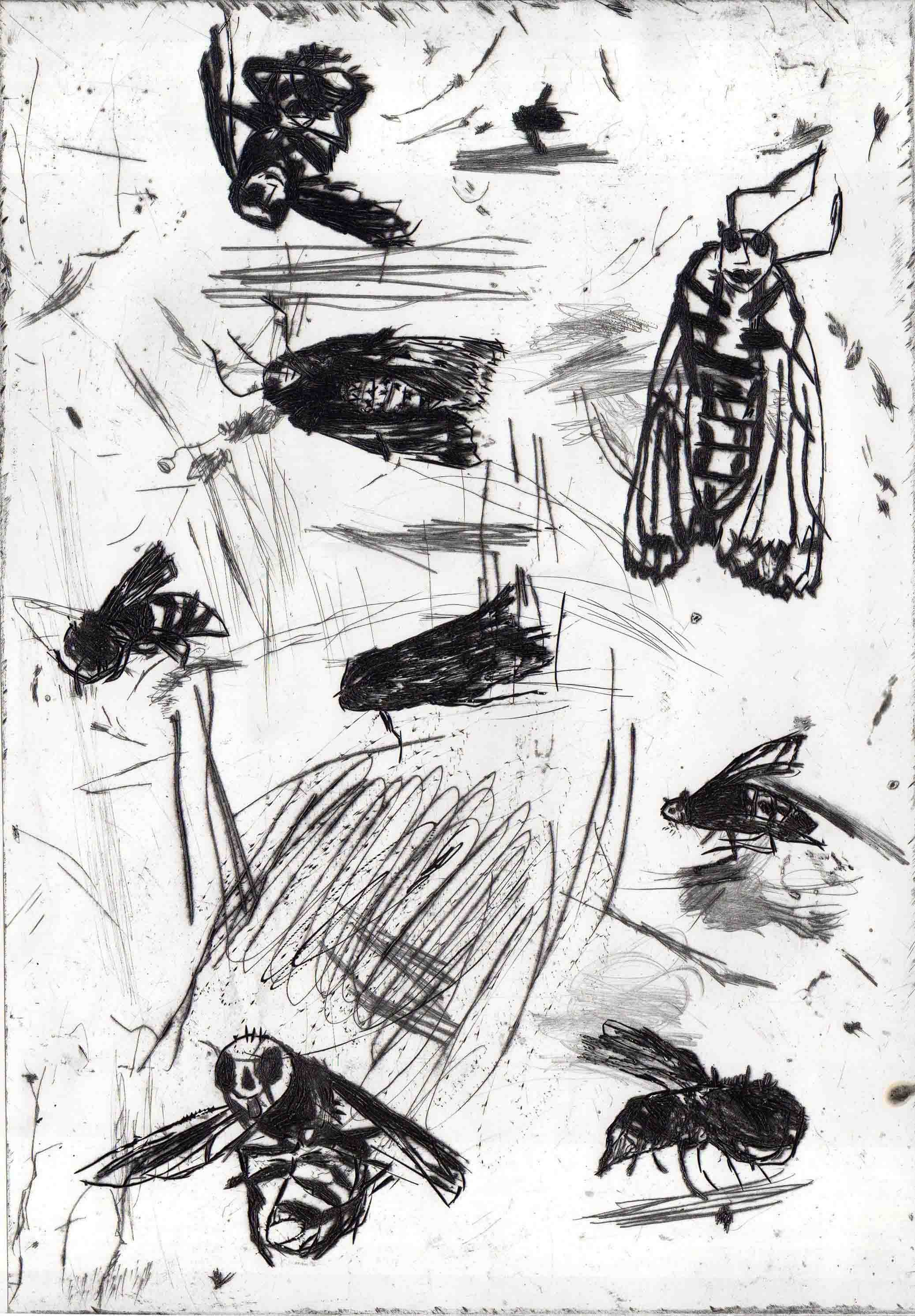 Monochrome abstract drawing of birds and insects among dense expressive sketch marks.