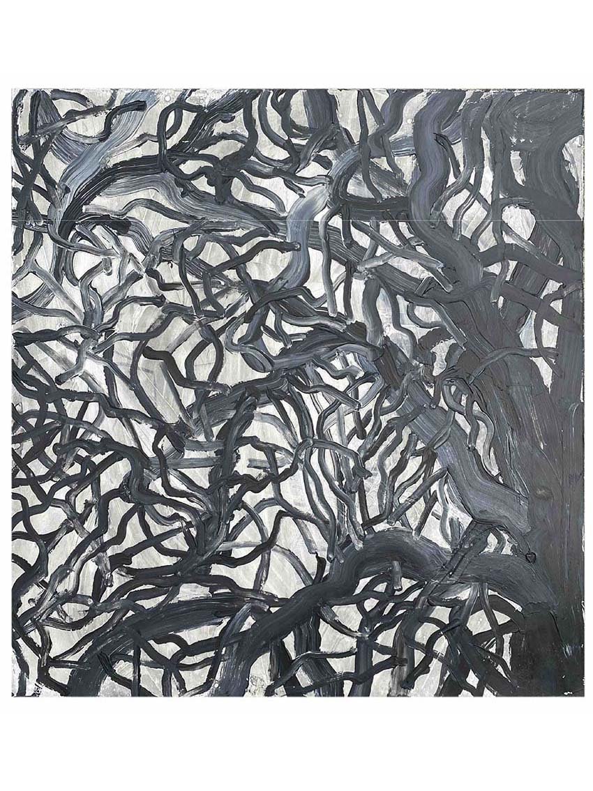 Winter Oak 4