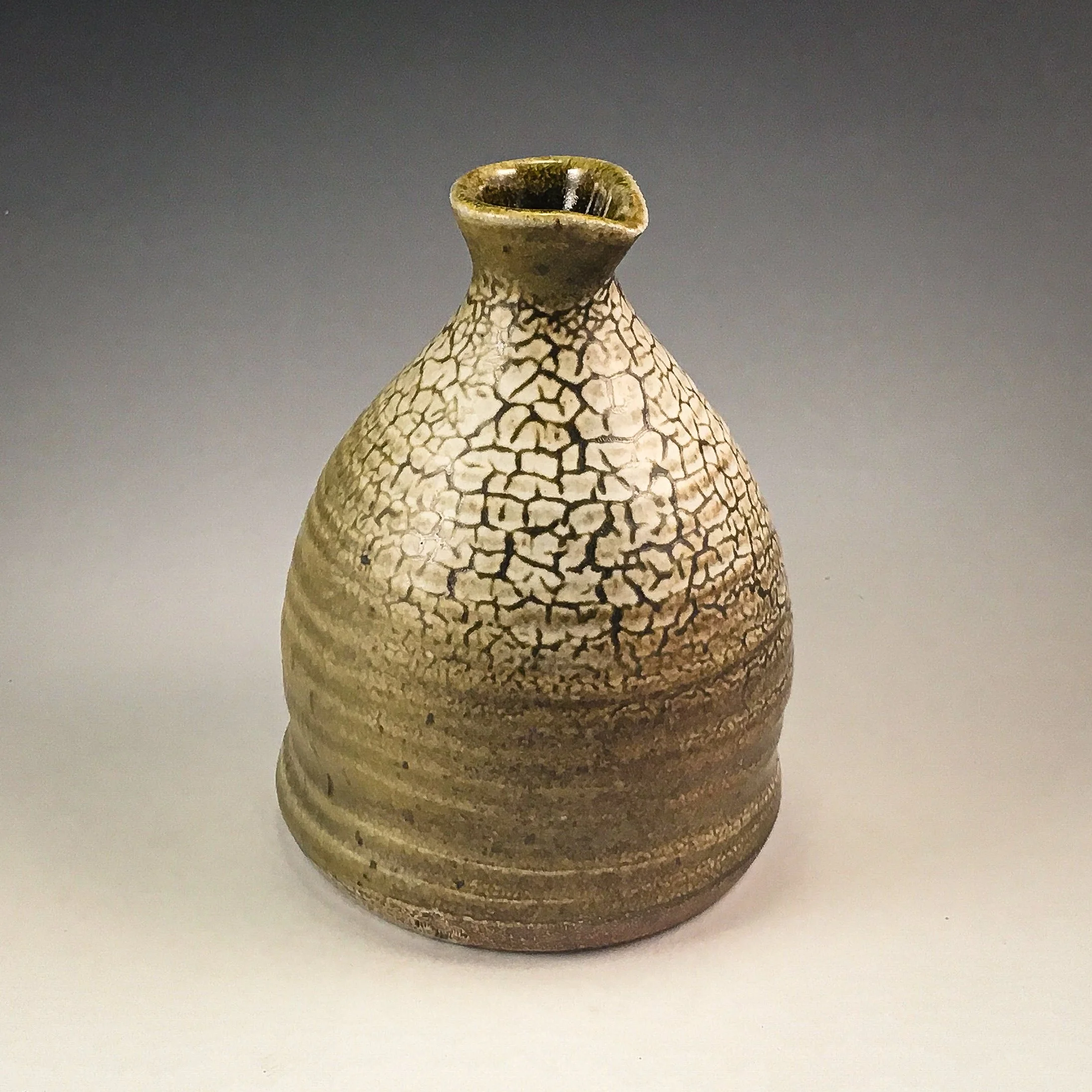 Close-up of a ceramic vase with a crackled glaze pattern, set against a plain background.