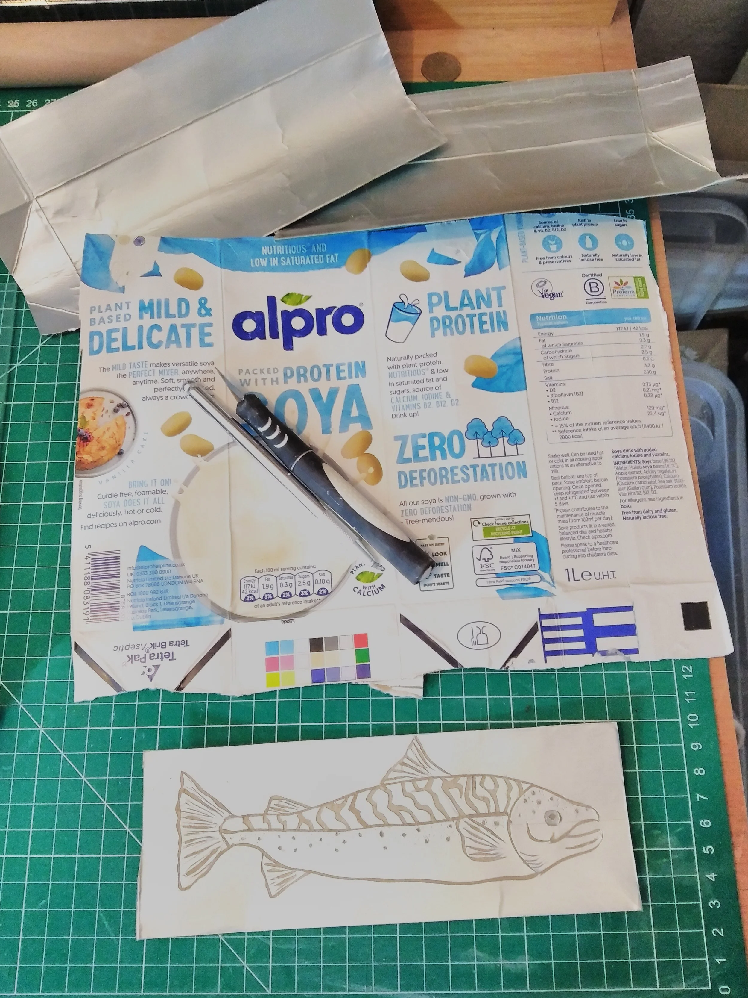 Tetra Pak Printing Workshop- Saturday, September 26th- 10am Duchy Nurseries £75