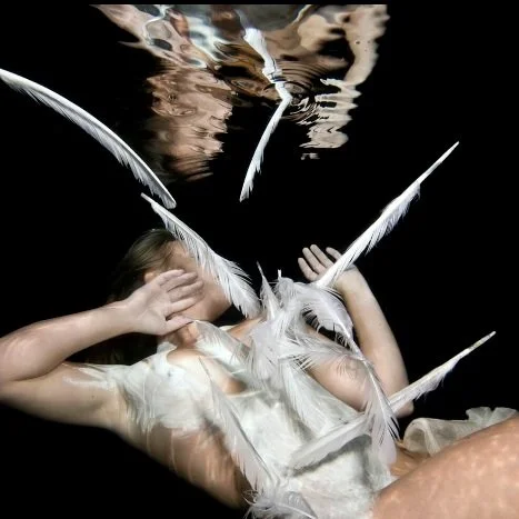 THE SWANS OF REVOLUTION