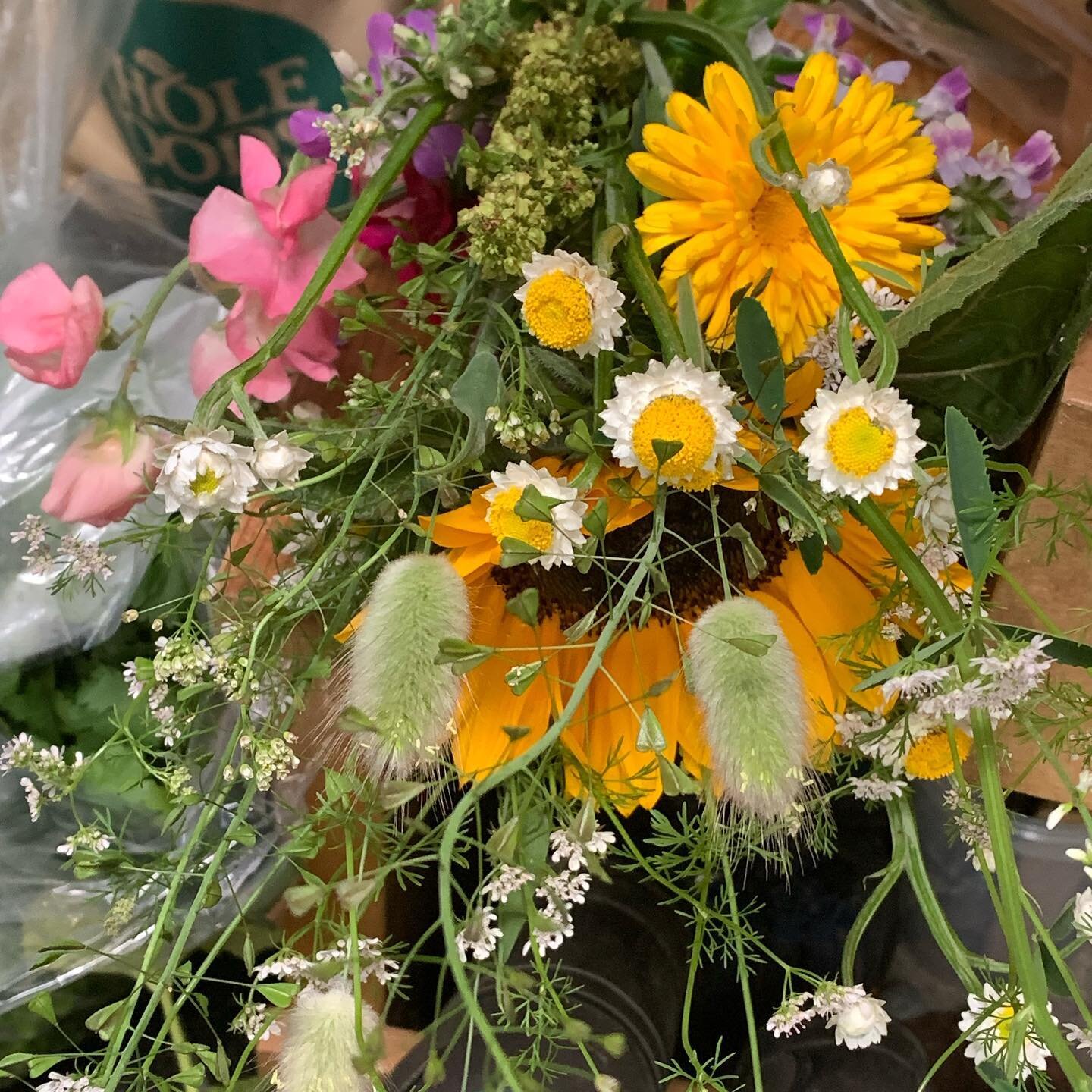 Love the wild bunches of flowers in my CSA box every Wednesday. 
Green waste of bind weed for weaving from the home learners garden and crocosmia from @catherineshapiro6611 to plant in there too. I love plant gifts in all shapes and sizes. Can a pers