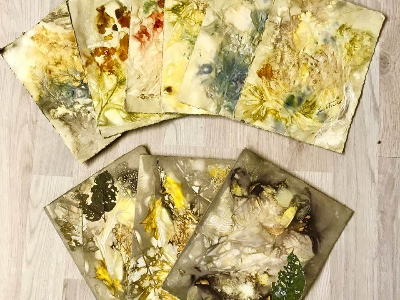 Eco-printing on Paper (ONLINE)