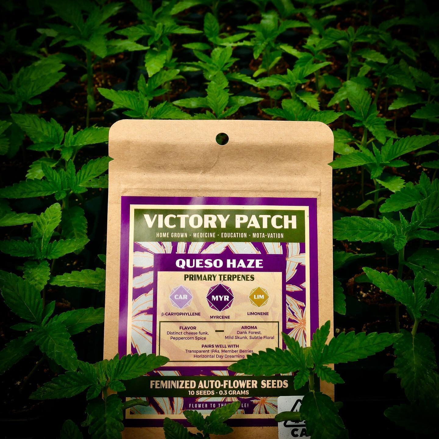 You&rsquo;re not too late to get your late season auto-flower Victory Patch started!

Pick up a pack at one of these fine retailers in California:
@torrey_holistics_sd 
@lapcg 
@solfulca 
@sparc_soco 
@herbandmarketgallery 
@soldemendocino 
@coastal.