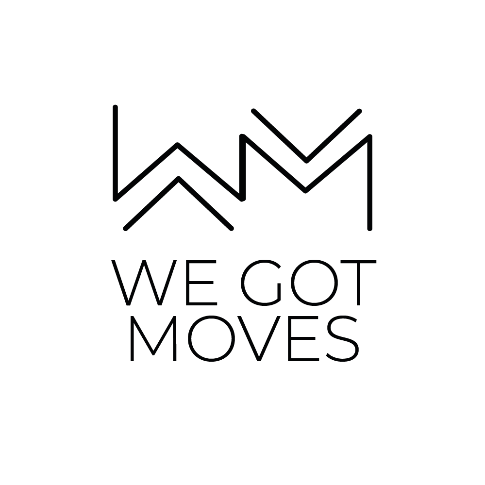 We Got  Moves 