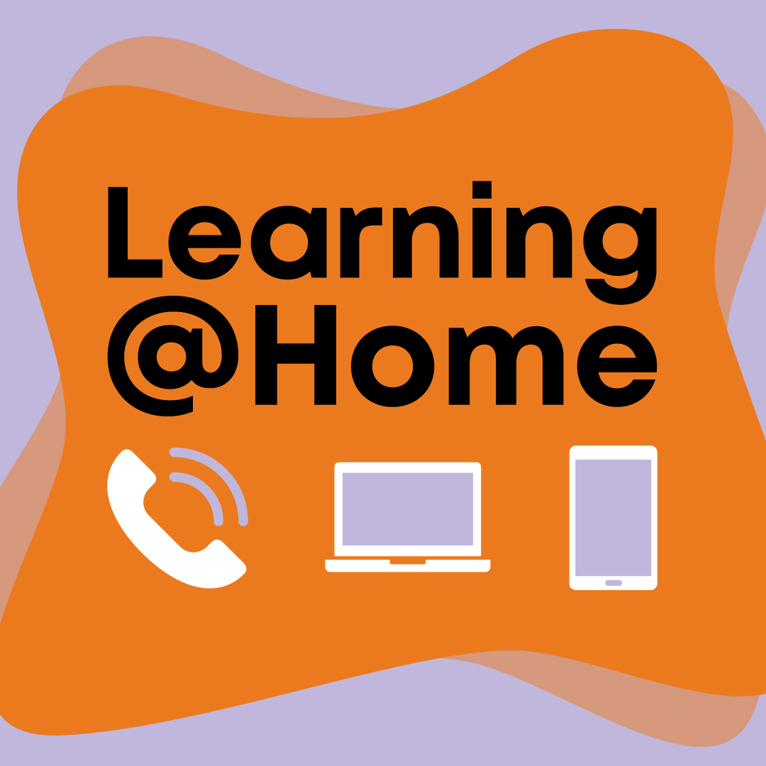 Update for Temporary Transition Students