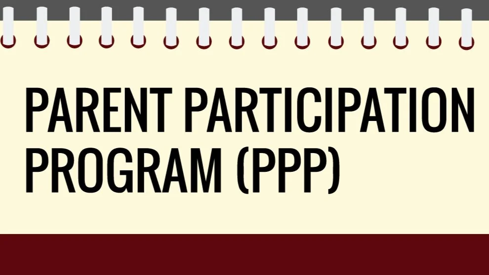 Important PPP Announcement