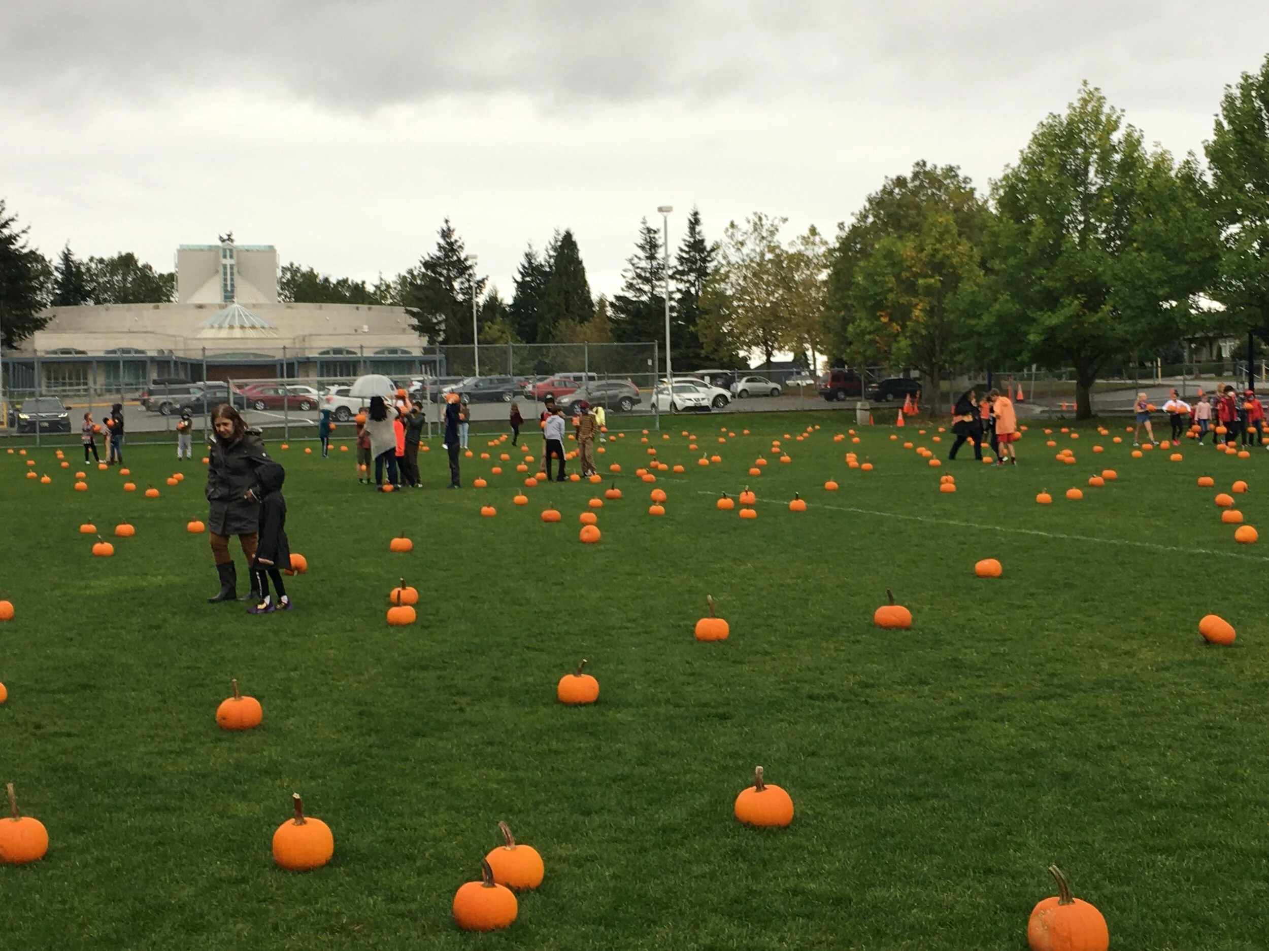 Pumpkin Day Photos