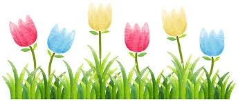 Grade One plants Tulips!