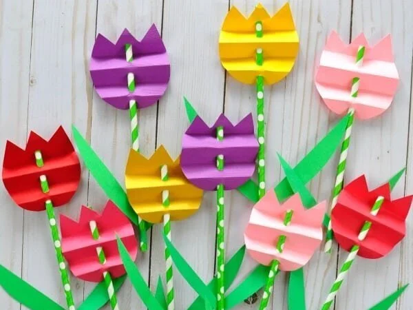 Gala Crafts and Video Permission