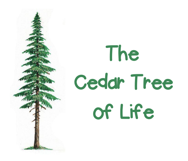 Celebrating the Cedar Tree of Life- 