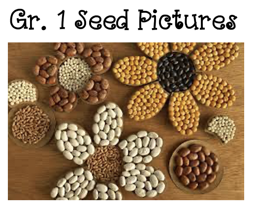 Our Flower Seed Pictures