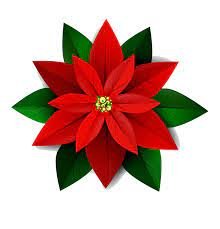 Grade 7 Outdoor Ed Winter Plants Fundraiser