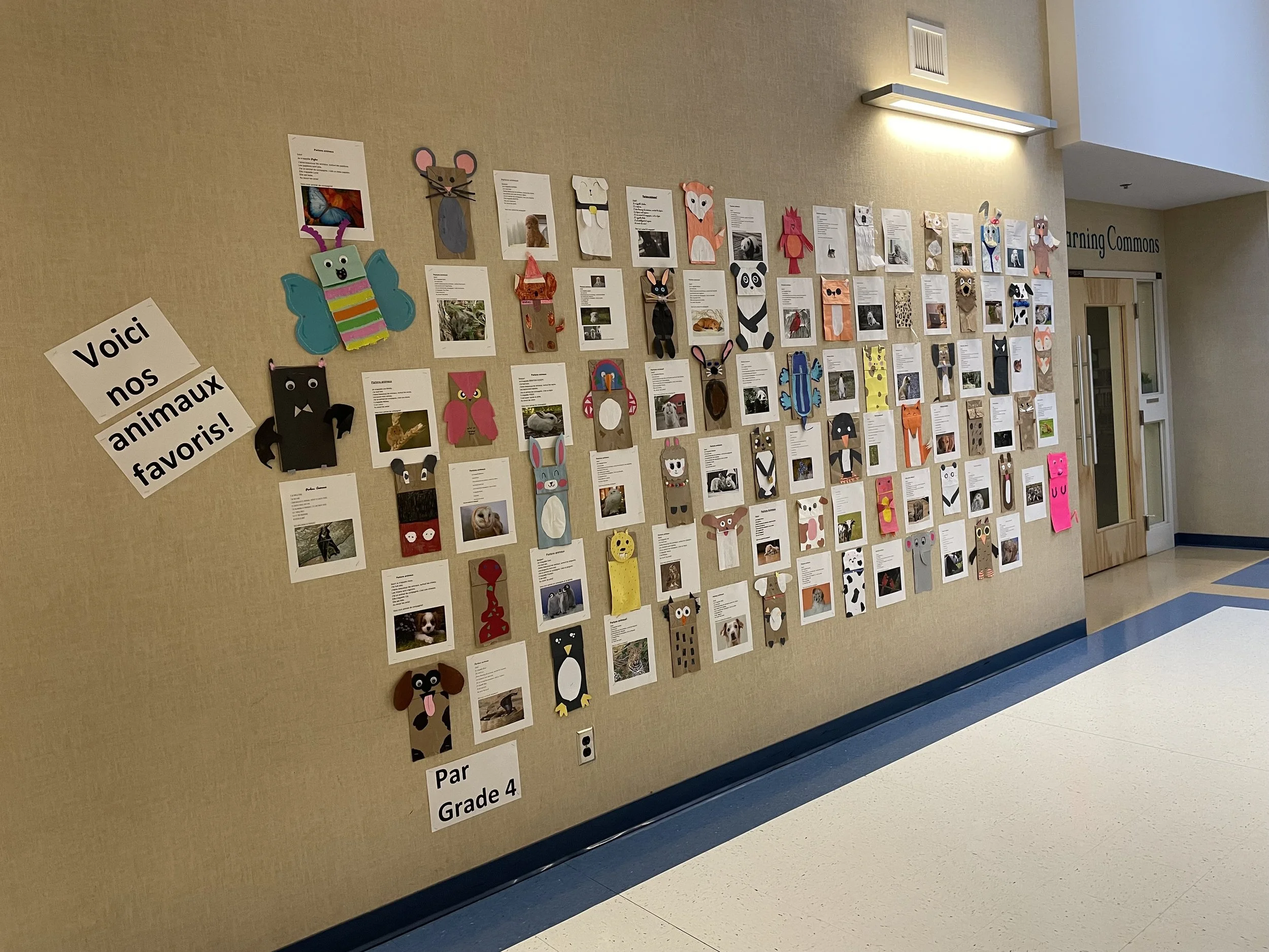 🇫🇷 French at Star of the Sea School