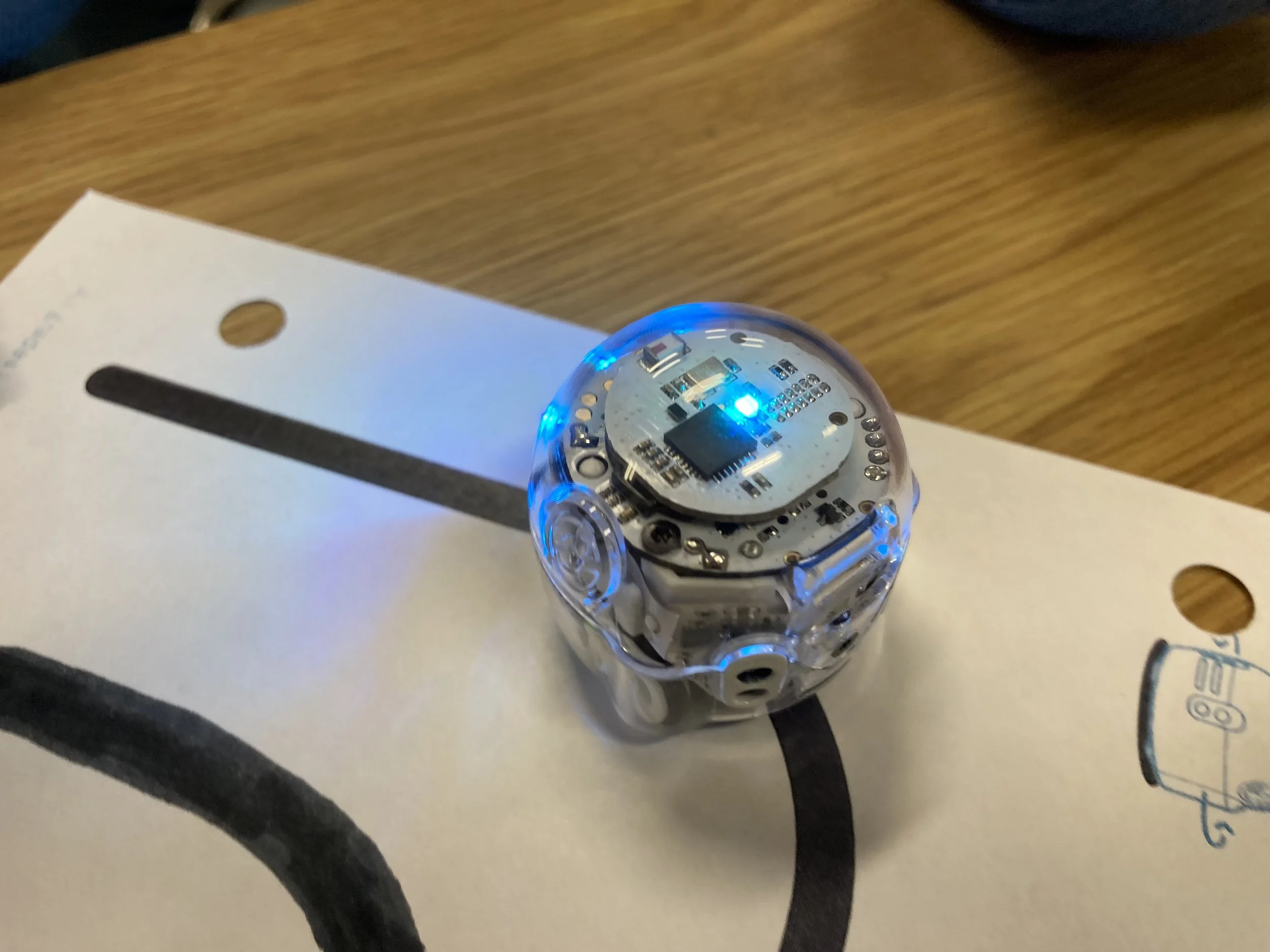 Video: Grade 5 Term 1 Highlights