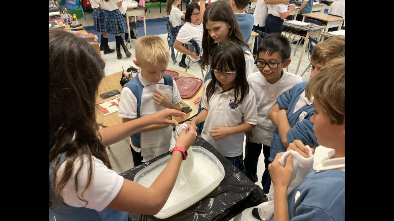 What's Going on in Grade 5?