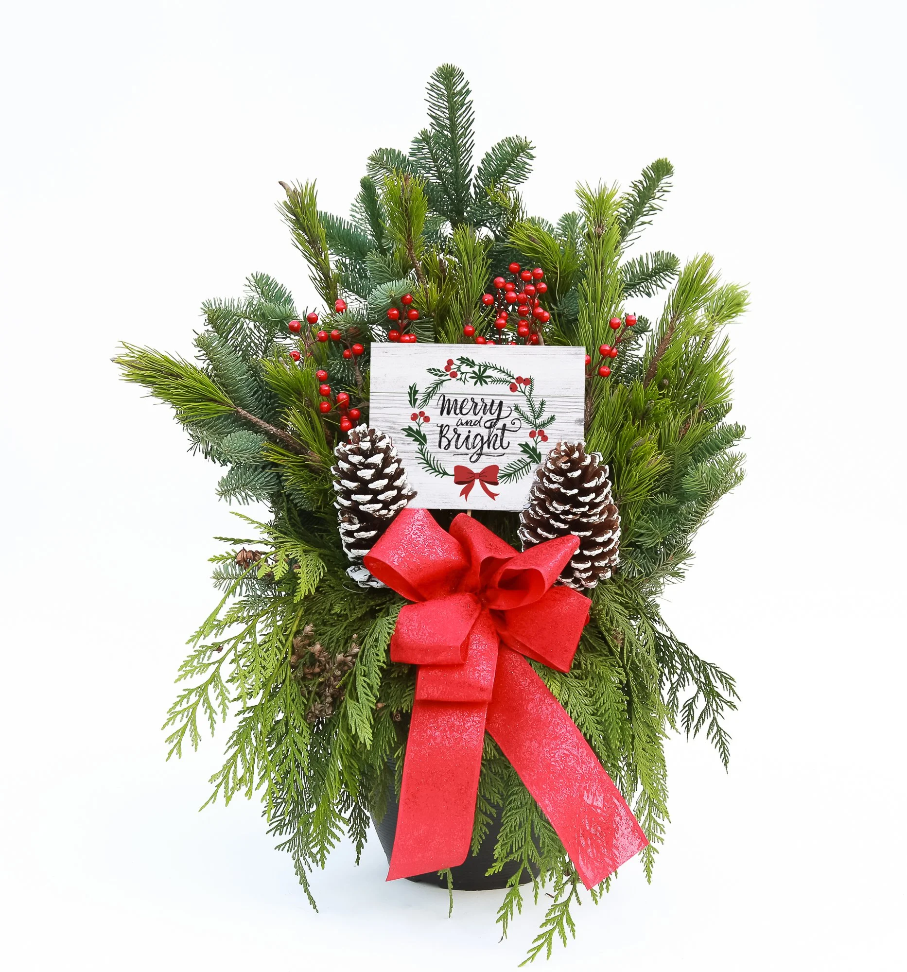 Outdoor Ed Fundraiser: Christmas Plant Sale