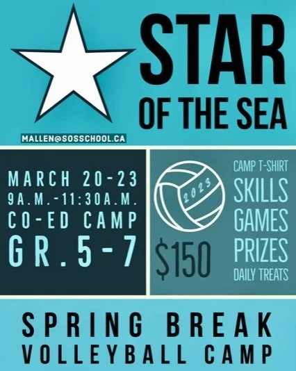 Spring Break Volleyball Camp GR 5 - 7