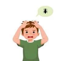 Head Lice Information