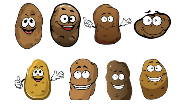 Planting Potatoes