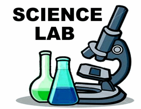 Science Fun!