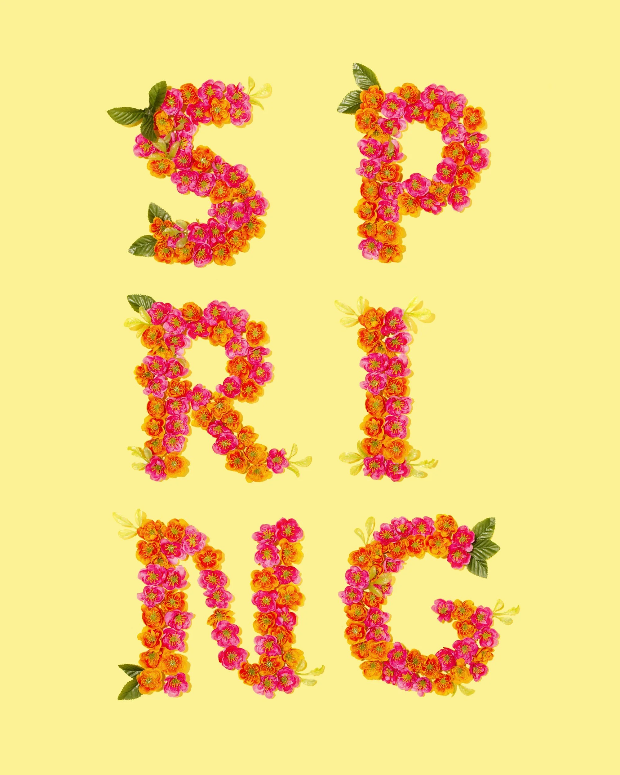 Spring Fun in Grade Two!