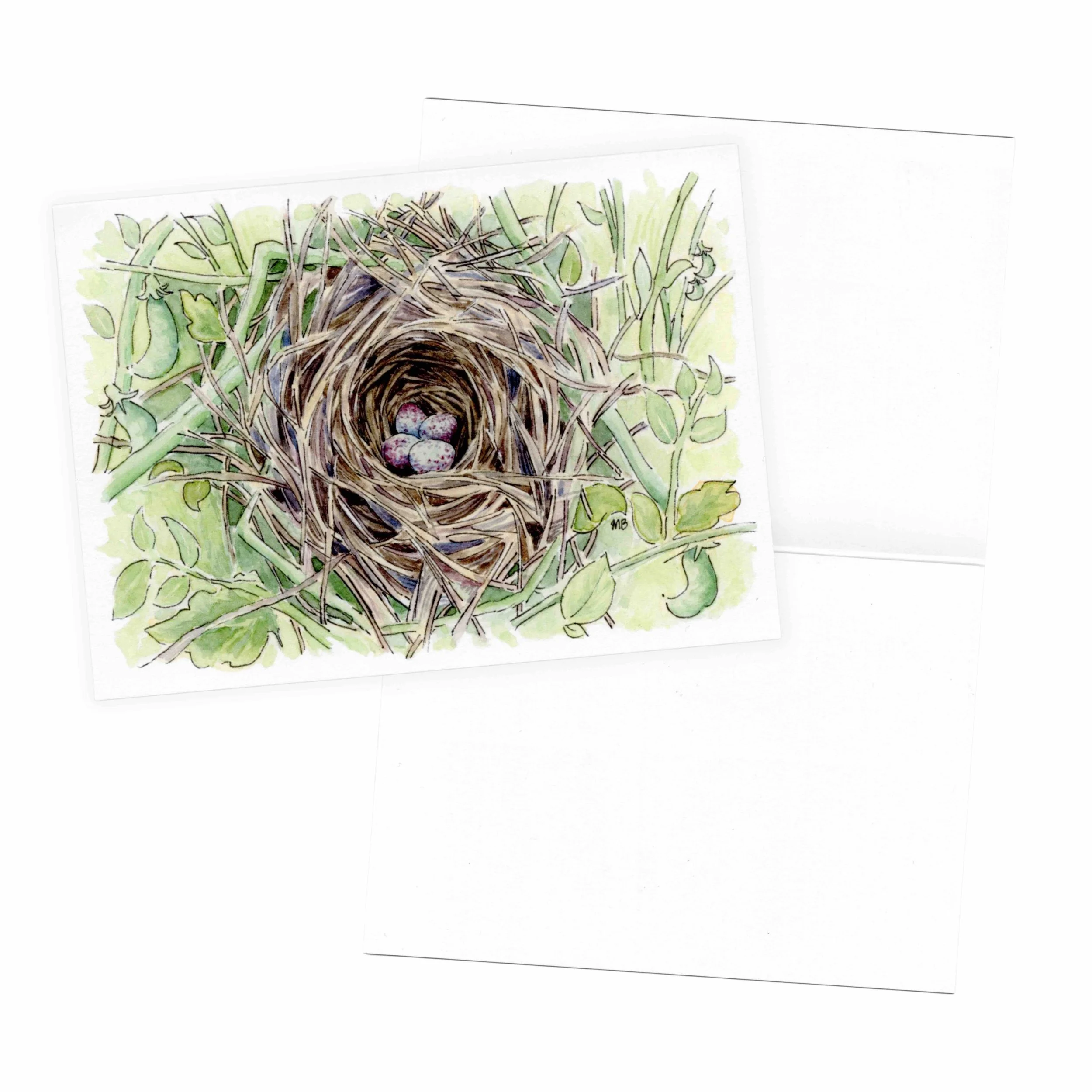 nest 2.jpg