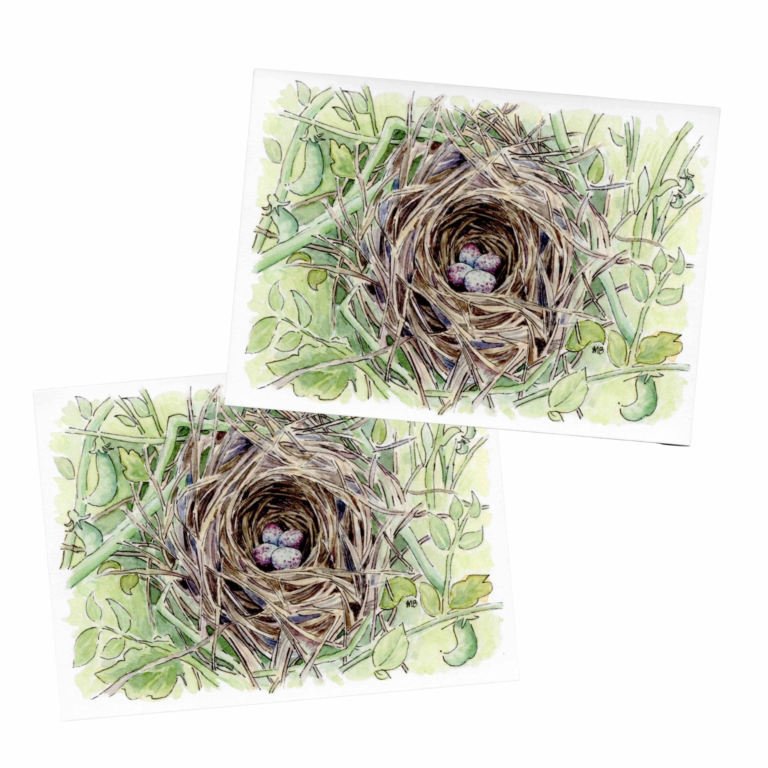 nest 3.jpg