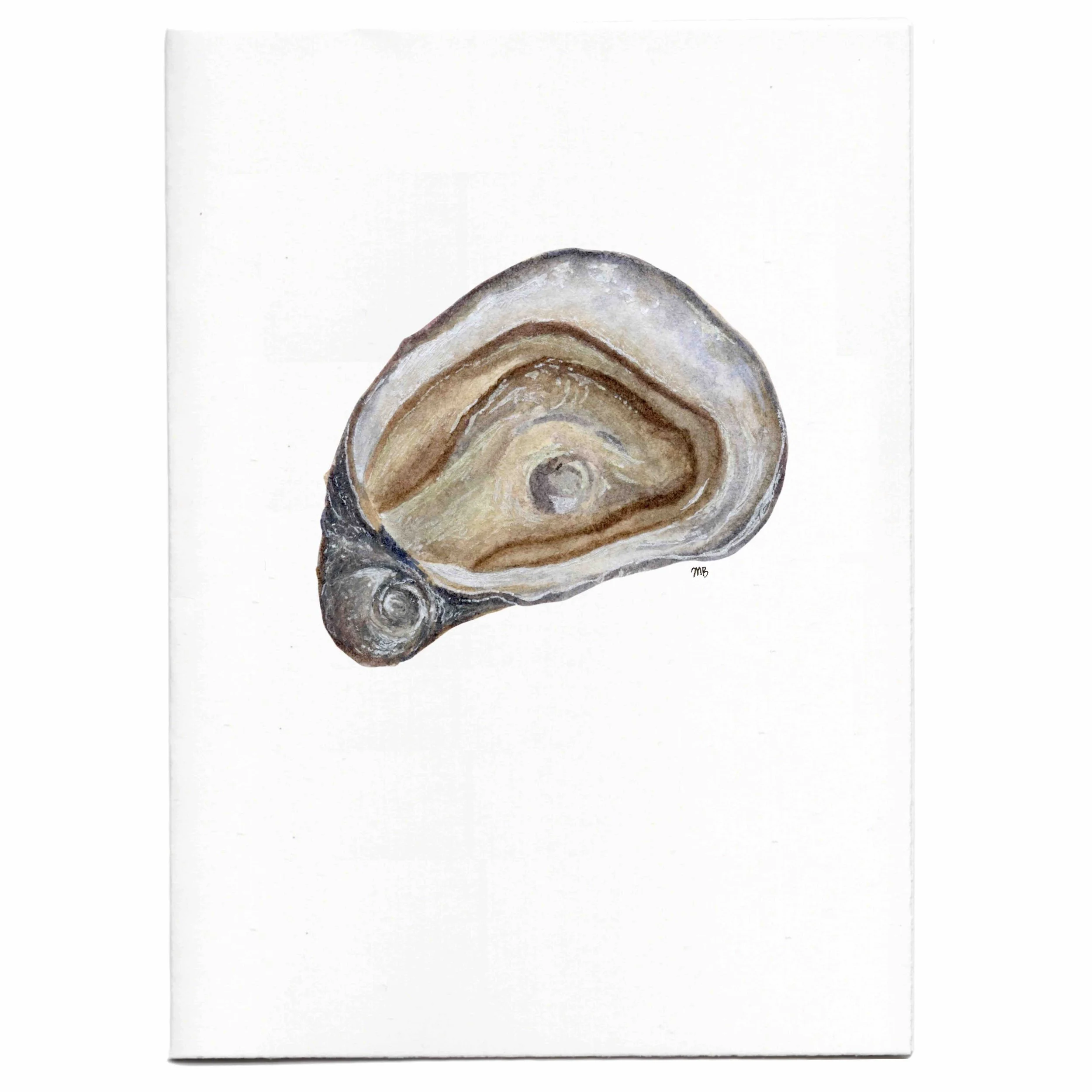 oyster single 1 notecard web image 1.jpg