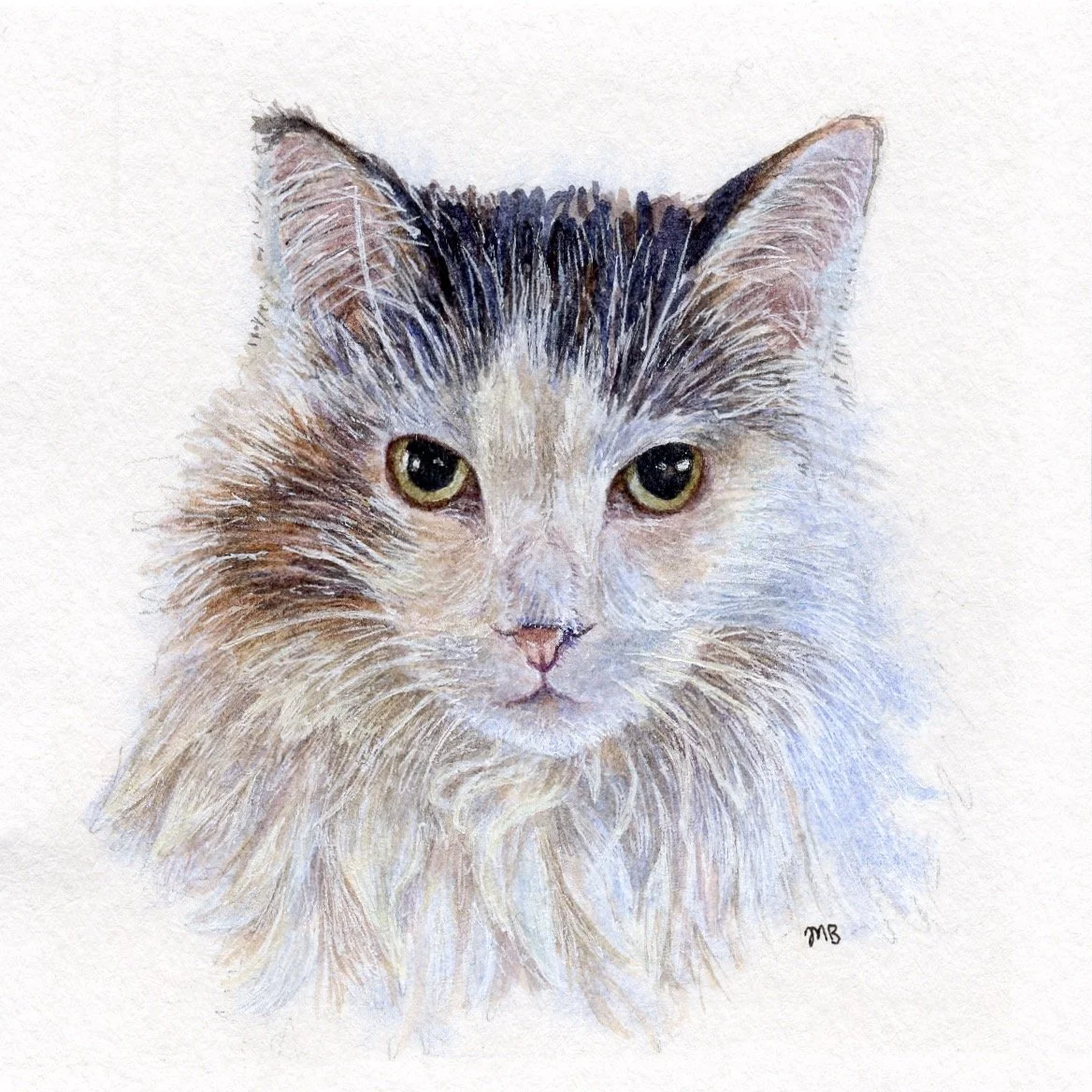 4x4" watercolor pet portrait - 2025