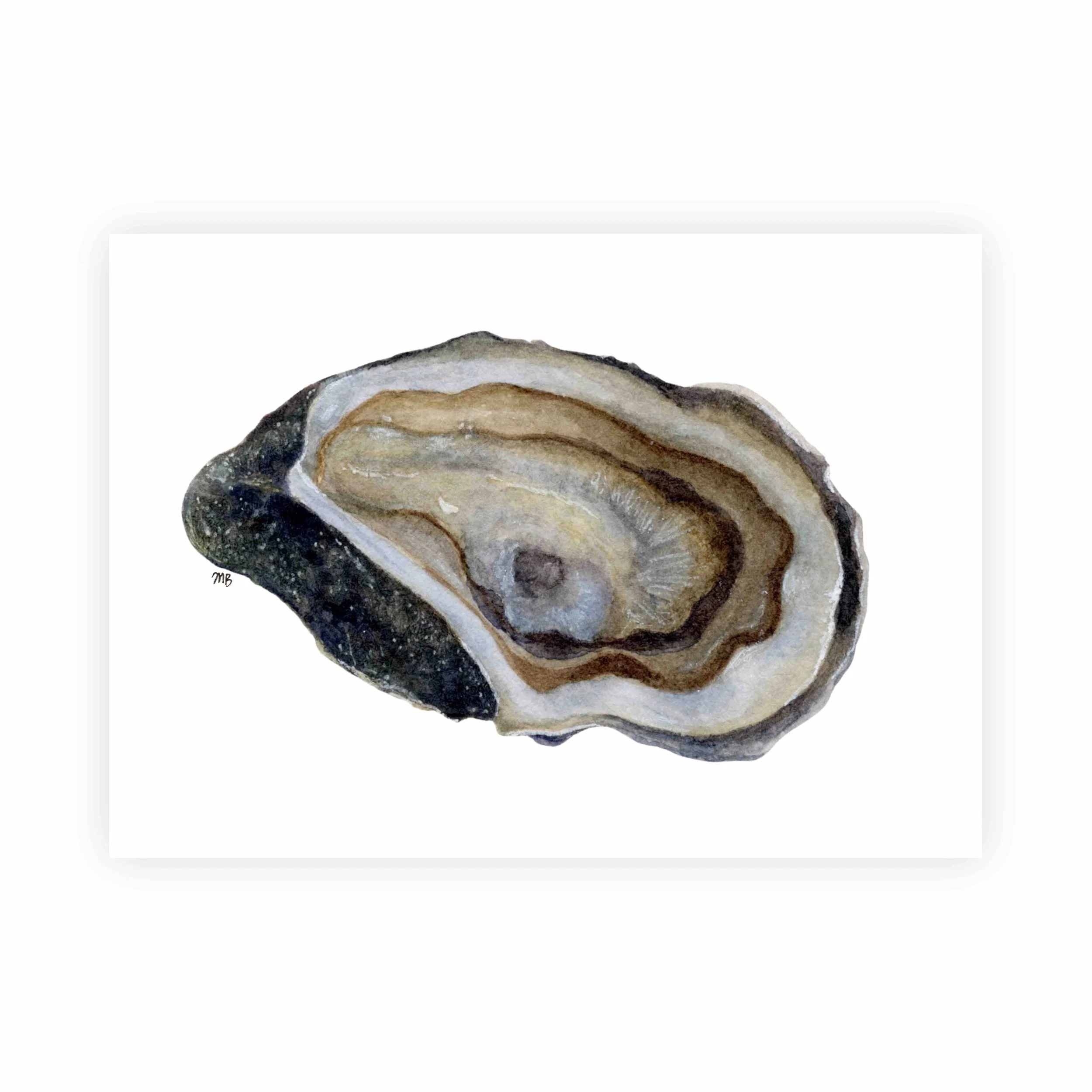 Oyster Watercolor Painting Print | 5x7" Unframed