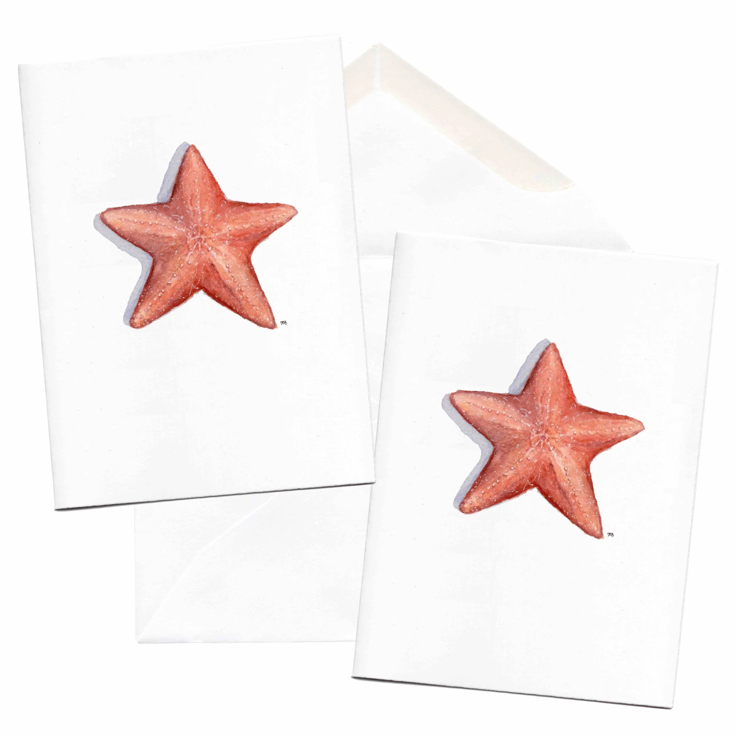 starfish web size 3.jpg