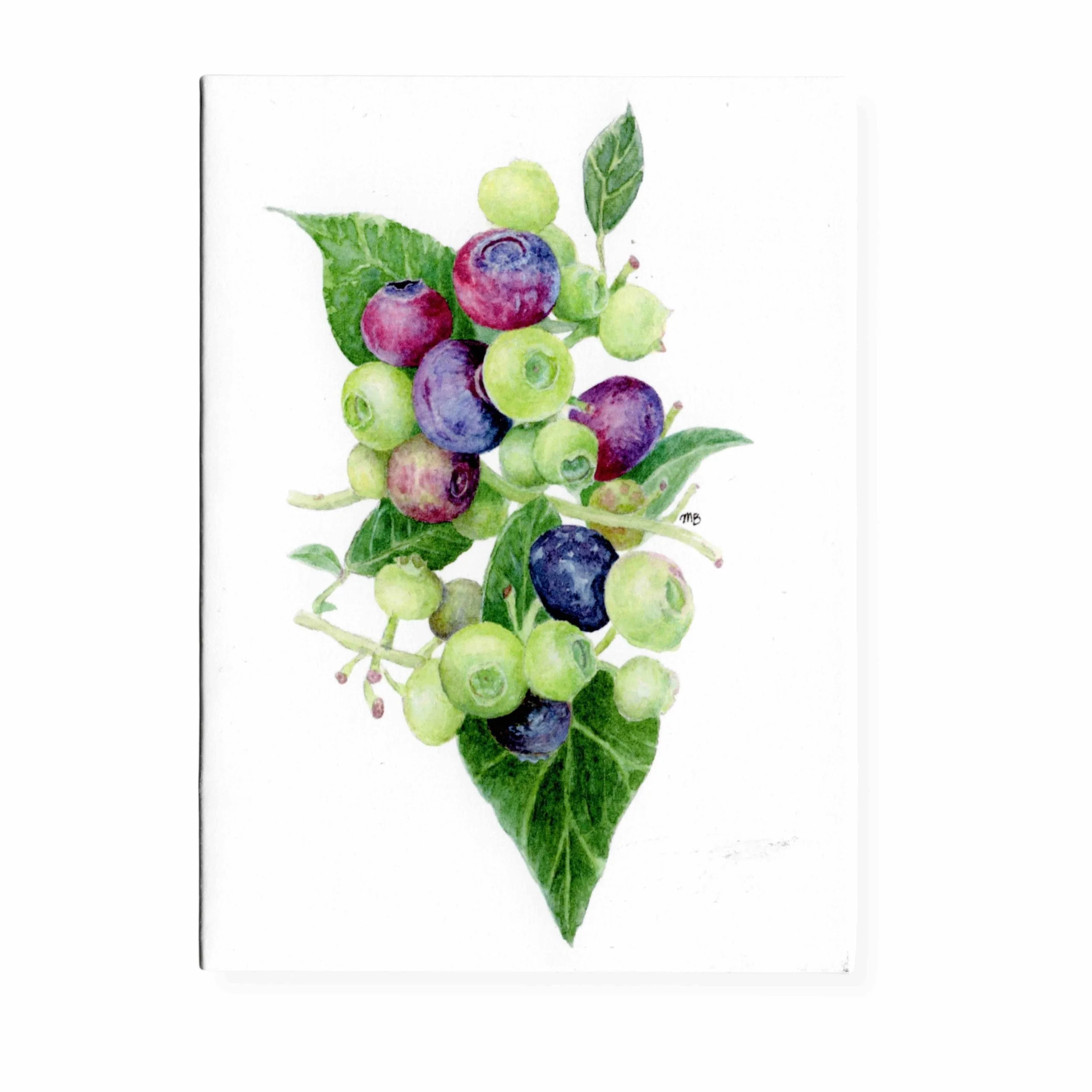 blueberries web 1.jpg