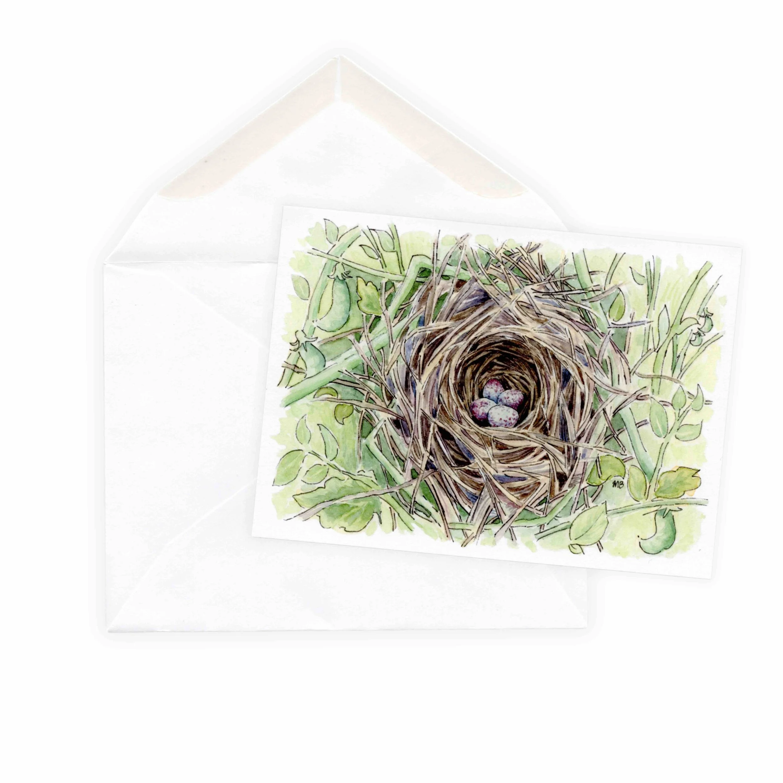 nest 4.jpg
